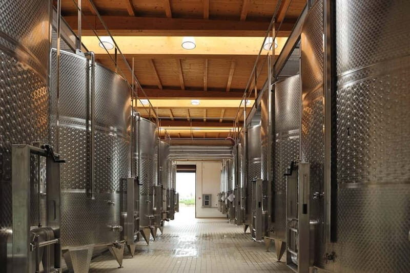 Wine Tour "The pearls of Manduria" - Focus on the Wines and Tasting Experience
