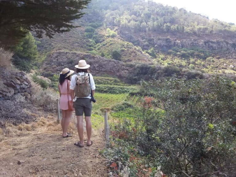 Wine Trekking in Salina: Walk and Tasting of Local Products - Final Thoughts: Who Will Love This Tour?