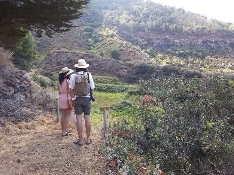 Wine Trekking in Salina: Walk and Tasting of Local Products - Final Thoughts: Who Will Love This Tour?