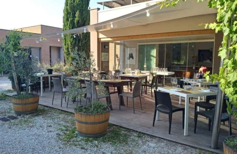 Winery Tour with Wine & Food Tasting near Riccione & Rimini - The Details: How It All Comes Together
