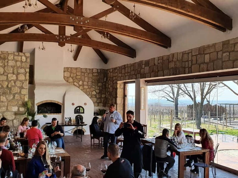 Winery visit & Wine Tasting: half-day tour - Visiting the Winemaker & Cellar Tour