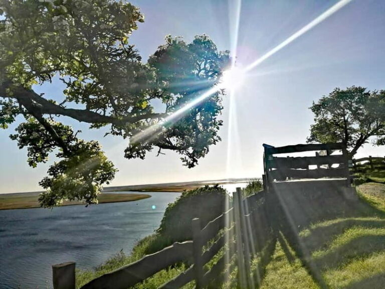 Wollin 3-island tour Land of 44 islands - Exploring the Itinerary in Detail