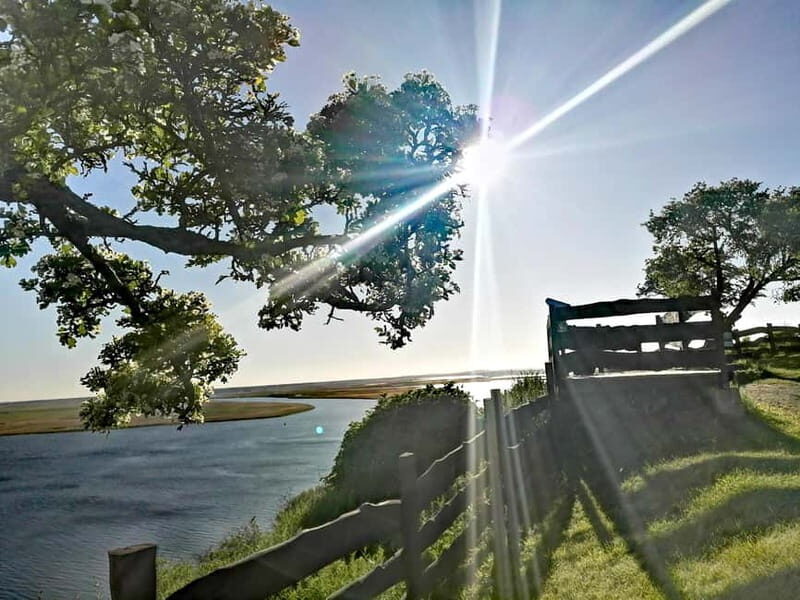 Wollin 3-island tour Land of 44 islands - Exploring the Itinerary in Detail