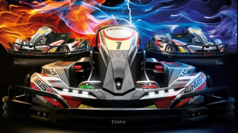 Wörth am Rhein: Grand Prix 30 - Electric kart race - The Track Experience