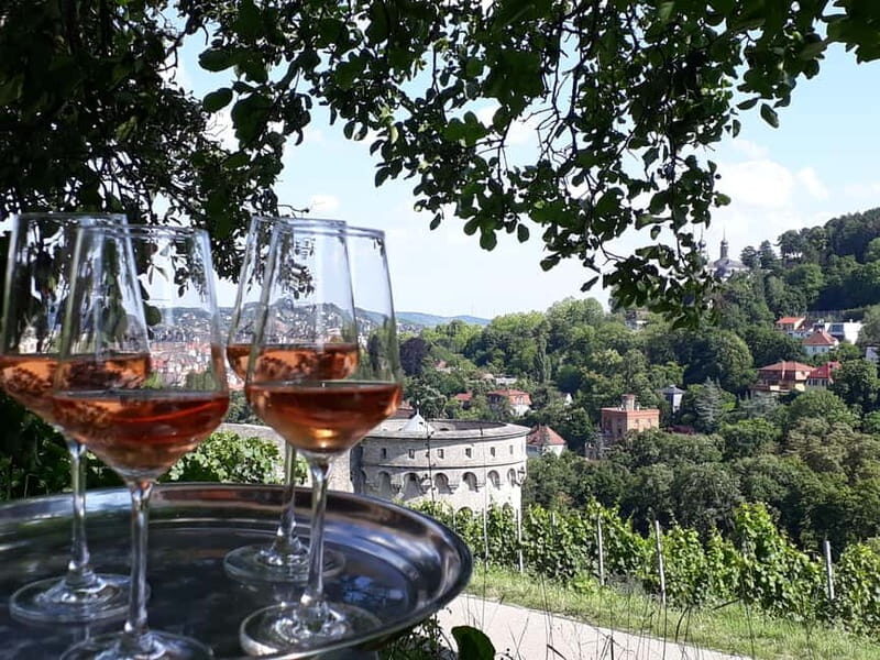 Wuerzburg: Vineyard rally with wine tasting and group dynamics - Practical Details and Value