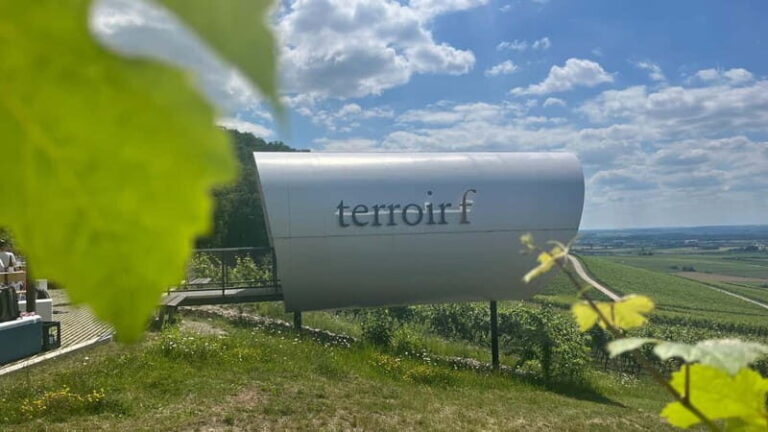 Würzburg: Excursion to the vineyards - enjoyable wine hike & tasting - The Experience from a Traveler’s Perspective