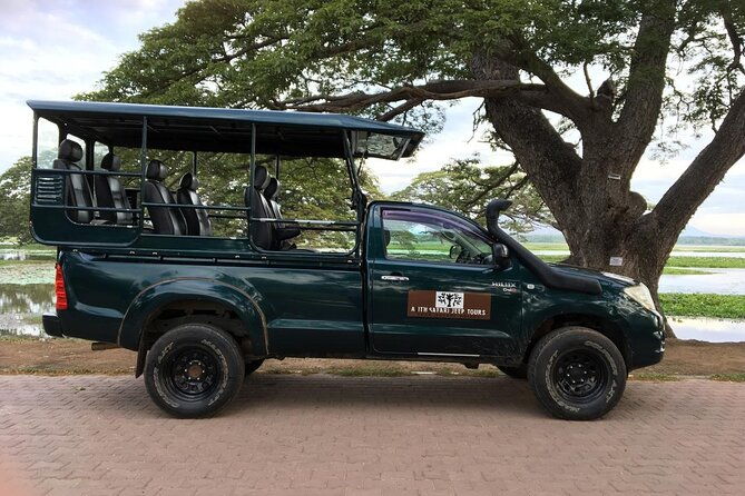Yala National Park Wildlife Safari/ Game Drive - by Ajith Safari - Experience Review: Yala National Park Wildlife Safari with Ajith Safari Jeep Tours