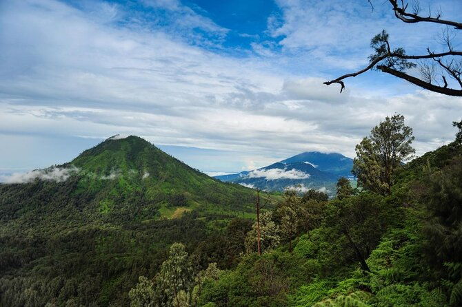 Yogyakarta Countryside Walking Tour - Exploring the Details: A Deep Dive into the Yogyakarta Countryside Walking Tour