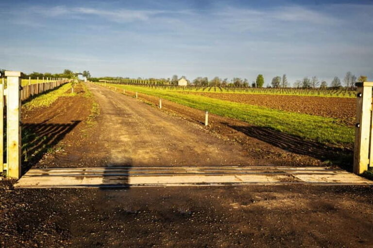Yorkshire: Loversall Vineyard Wine Tasting and Tour - Who Will Love This Experience?