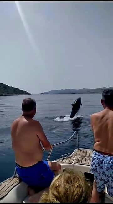 Zadar: Islands & Lagoons Tour with Drinks and ECO fruits... - Overview of the Tour