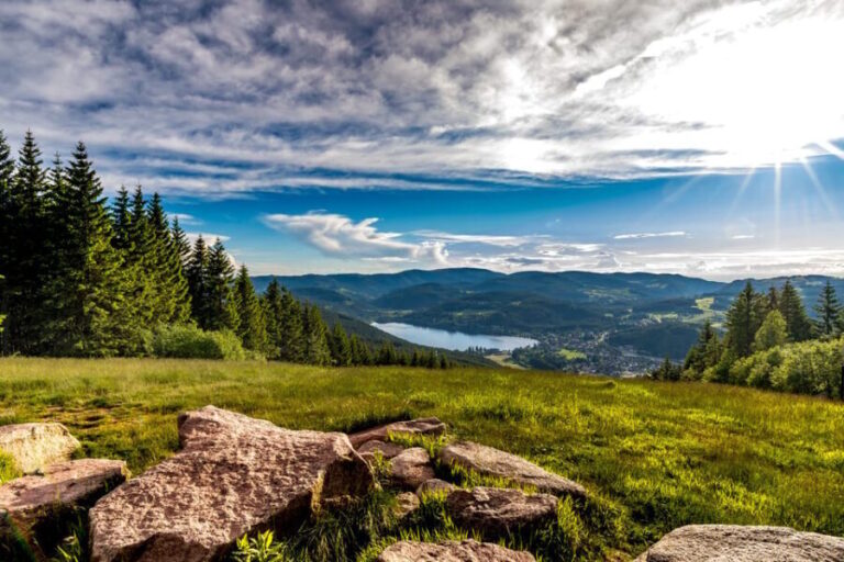 Zurich: Black Forest, Titisee, and Rhine Falls Bus Day Trip - An Overview of the Itinerary