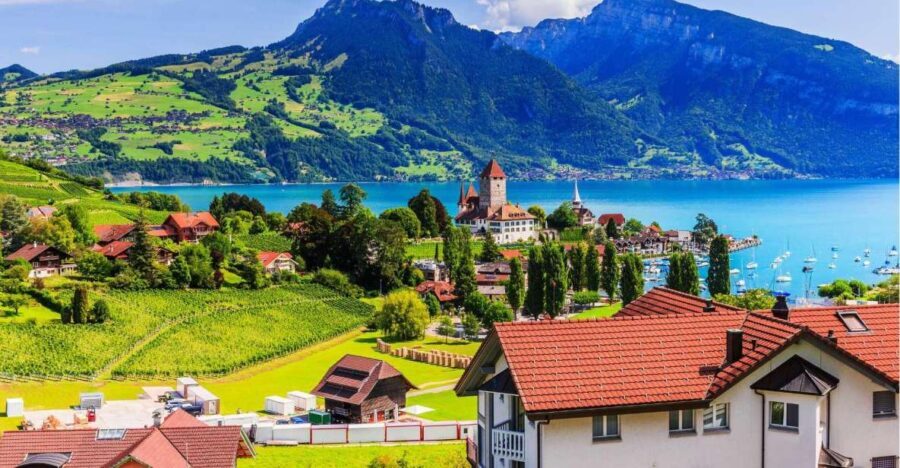 Zürich: Private Car Tour to Swiss Capital, Castles & Lakes - Who Will Love This Tour?
