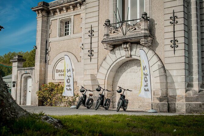 1 hour walk - The Gabarres river route - Practical Details: What You Need to Know