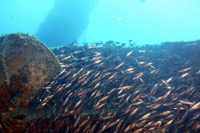 2 Dive Package for PADI Qualified Divers in Gran Canaria - What to Expect on the Day