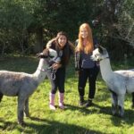 2-Hour Alpaca Farm Experience in Kenilworth - The Experience from a Traveler’s Perspective