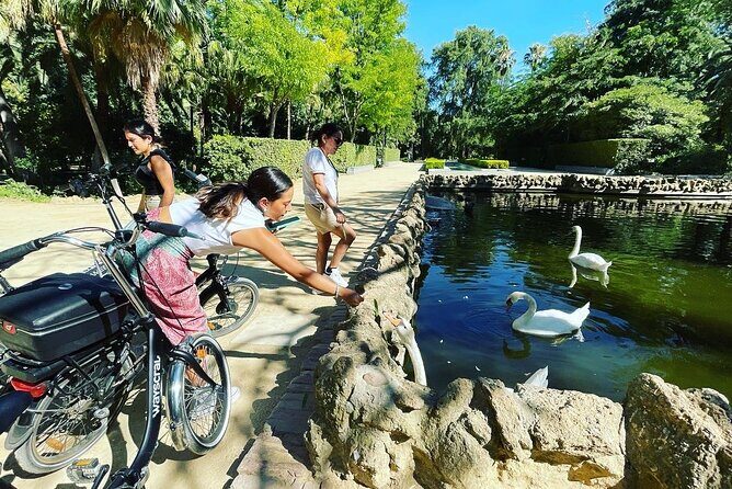 2 Hour Tour Discover Seville like a local on an ELECTRIC BIKE - Who Will Love This Tour?