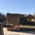 2 Hours Walking Tour in Pompeii with an Archaeologist - What’s Included and What’s Not?