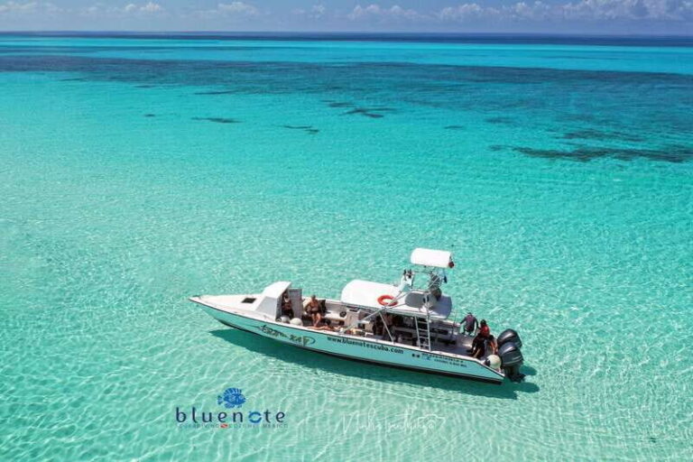 2 Tank Morning Cozumel Dives for Certified Divers - The Practicalities: What’s Included and Whats Not