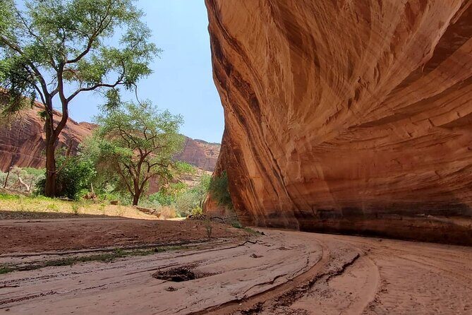 3 hour Private Tour in Chinle - Who Will Love This Tour?
