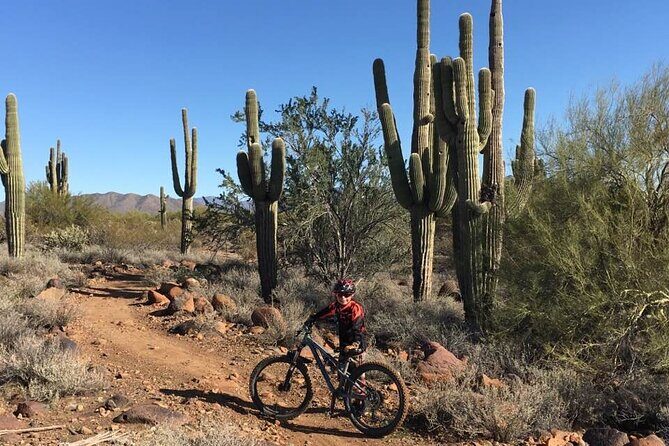 3 Hour Sonoran Desert Private Guided Mountain Bike Tour - The Route and Its Highlights
