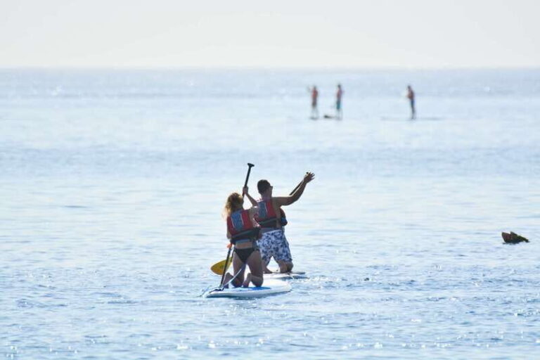 3-Hour Stand up Paddle and Snorkel at Los Cabos - What Makes This Tour Stand Out?