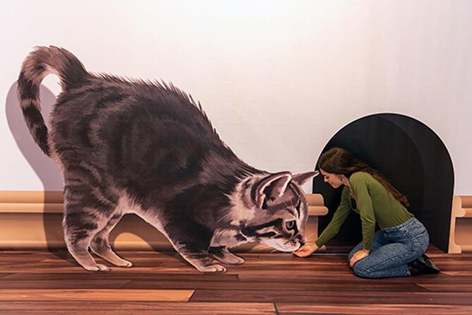 3D Fun Art Museum Funchal - Who Should Visit the 3D Fun Art Museum?