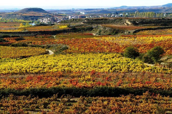 4 Day Basque Country Tour: San Sebastian, Biarritz, Bilbao and Rioja - Wine, Food, and Medieval Charms in Rioja