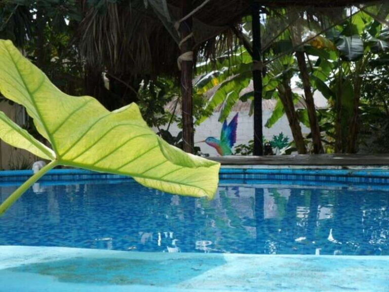 4 Days Yoga, Snorkel and Horseback Riding in Cozumel - Who Will Love This Experience?