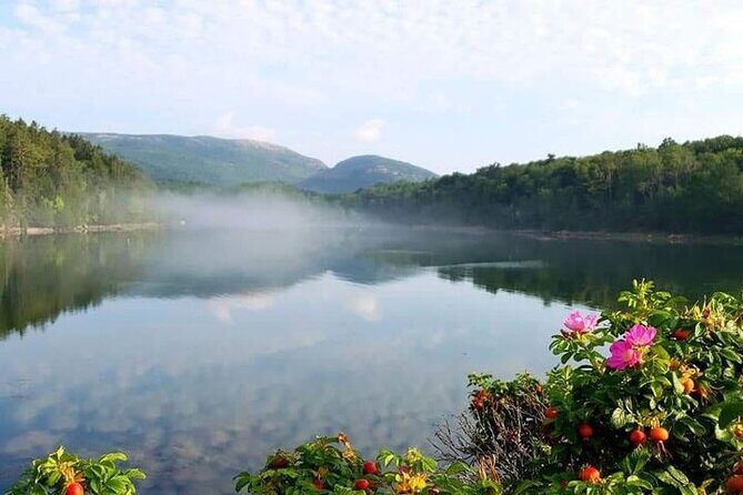 4 Hour Private Tour: Explore Acadia Nat'l Park, Fjord & Mansions - What Makes This Tour Stand Out?