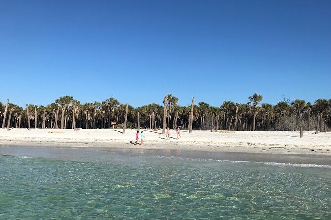 4-Hour St. Pete Pier to Egmont Key Experience by Ferry - Analyzing the Value: Is It Worth the Price?