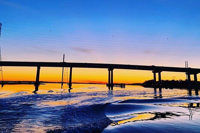 90 Minute Hilton Head Dolphin Tour - The Guides and the Experience
