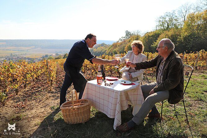 A unique sensory experience in the vineyards - Practical Details and What to Expect