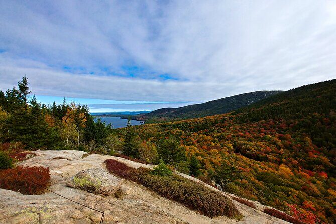 Acadia Full Day Small Group Tour - Authentic Experiences and Unique Highlights