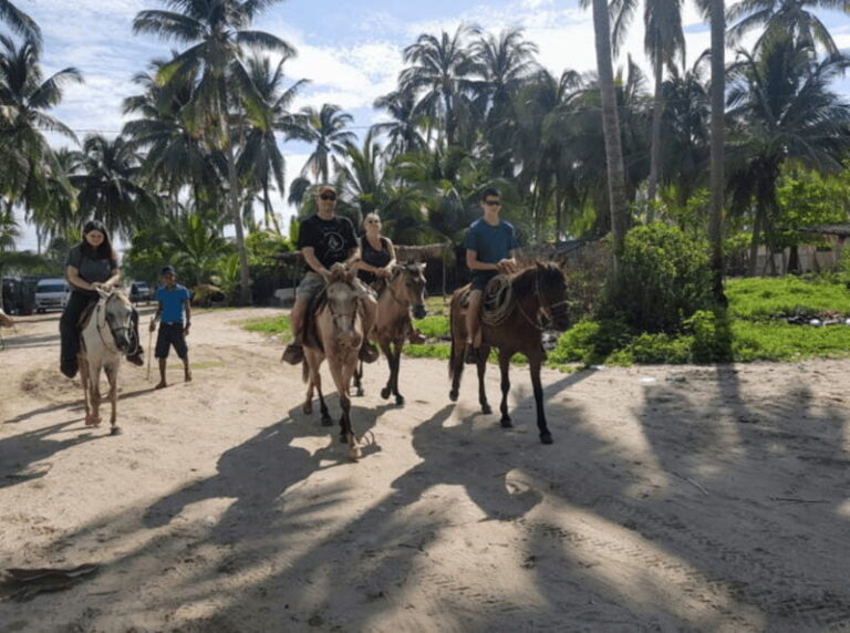 Acapulco: Bonfil Beach Horseback Riding Experience - Why This Experience Adds to Your Acapulco Trip