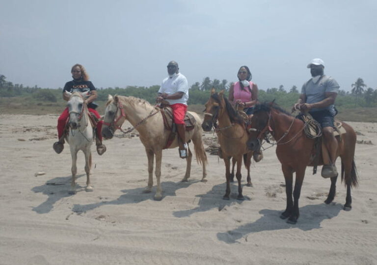 Acapulco: Horseback Riding, Turtle Camp, and Crocodile Tour - Why This Tour Is a Great Choice
