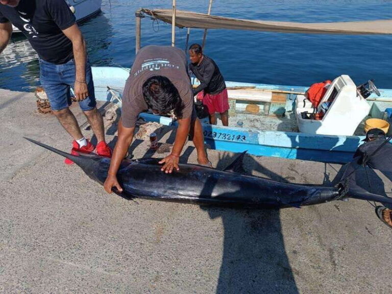 Acapulco: Private Fishing Experience - Who Is This Tour Best Suited For?