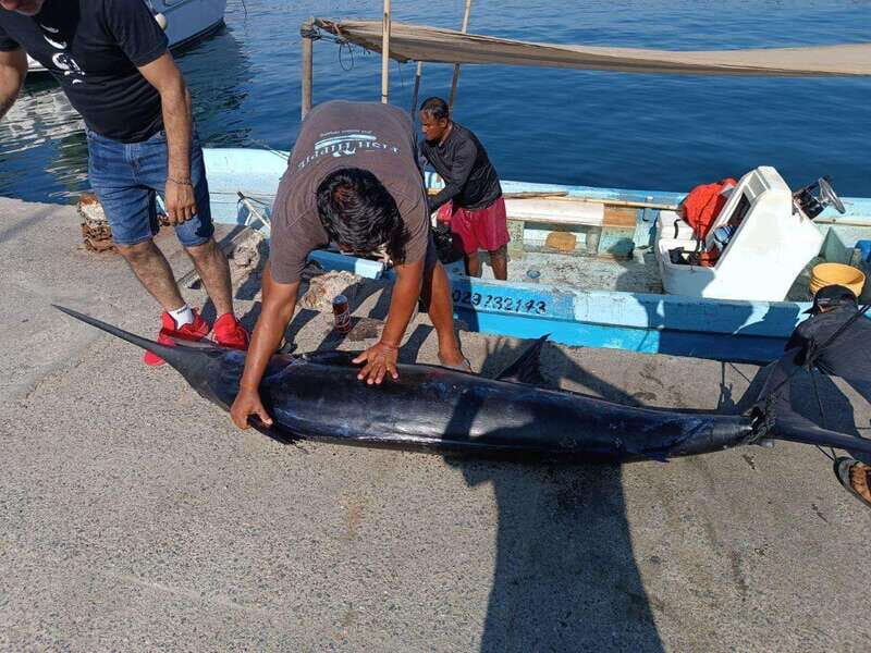 Acapulco: Private Fishing Experience - Who Is This Tour Best Suited For?