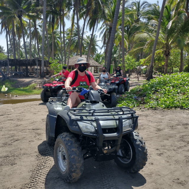 Acapulco: Turtle Release and ATV Guided Adventure - The Detailed Breakdown