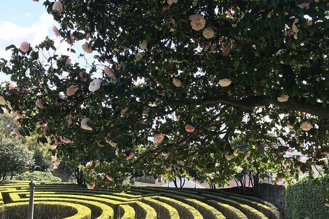 Admission Ticket to Casa São Roque Art Center - What to Expect from the Tour