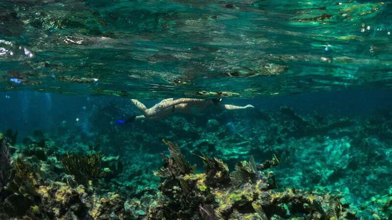 Adventure in Cancun: drive an ATV, Snorkel in Puerto Morelos and Cenote +Luch - Who Will Enjoy This Tour?