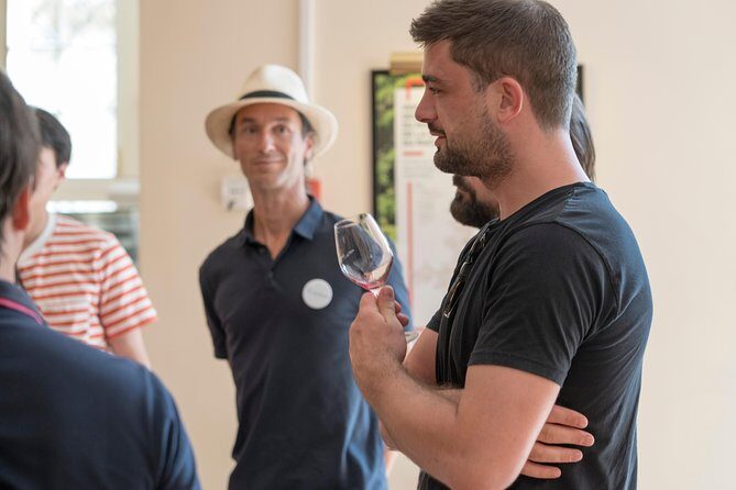 Afternoon Wine Tour to Chateauneuf du Pape from Avignon - An In-Depth Look at the Tour Experience