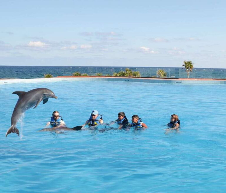 Akumal: Dolphin Encounter - How the Tour is Structured