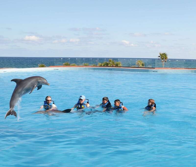 Akumal: Dolphin Encounter - How the Tour is Structured