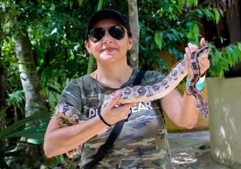 Akumal: Explore the Monkey Sanctuary, ATV Circuit and Cenote - Who Would Love This Tour?