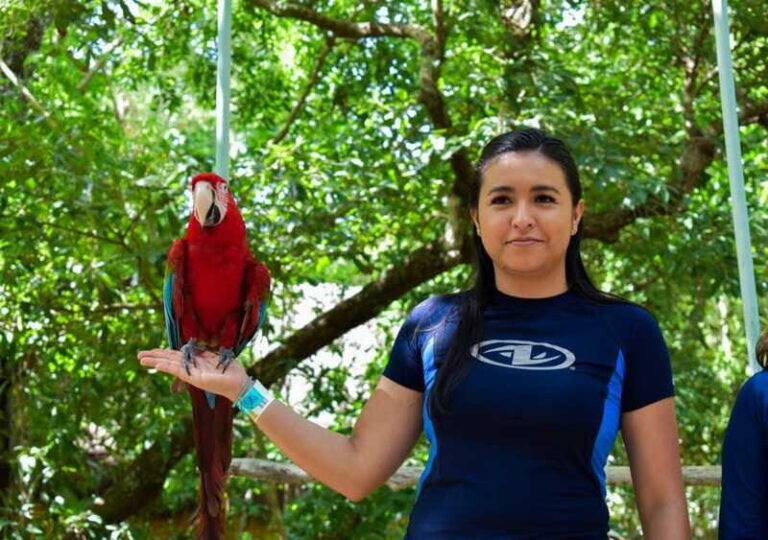Akumal: Monkey Sanctuary, ATV, Cenote, & Yalku Snorkel Tour - Frequently Asked Questions (FAQ)