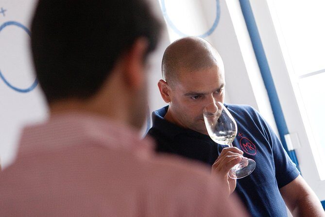 Alentejo Wine Tour from Évora - What’s Included and Practicalities
