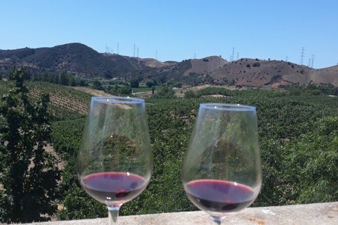 Algarve wine tour and farmer's lunch at wine estate - Why This Tour Works for You