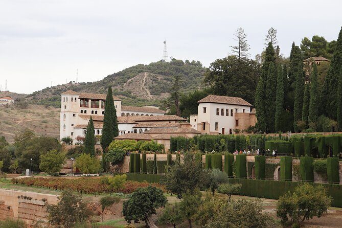 Alhambra Private Tour with tickets - The Experience Itself: From Arrival to Departure
