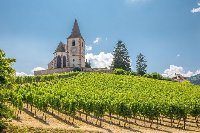 Alsace Full Day Wine Tour from Colmar - The Value of the Experience