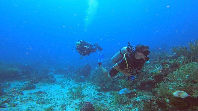 Amazing two tank Reef Diving - The Value of the Tour